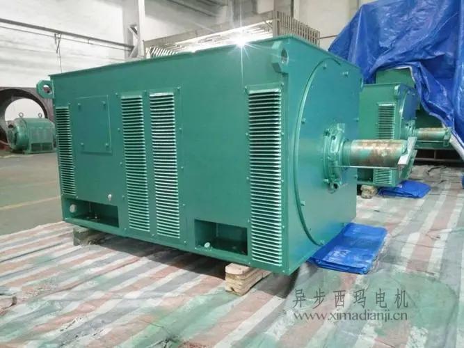 西瑪電機(jī)Y5603-10 560KW <a href=http://www.jiaqishiye.cn/new/new-47-621.html target='_blank'><a href=http://www.jiaqishiye.cn/new_tags_225.html target='_blank'>10kv高壓電機(jī)</a></a>